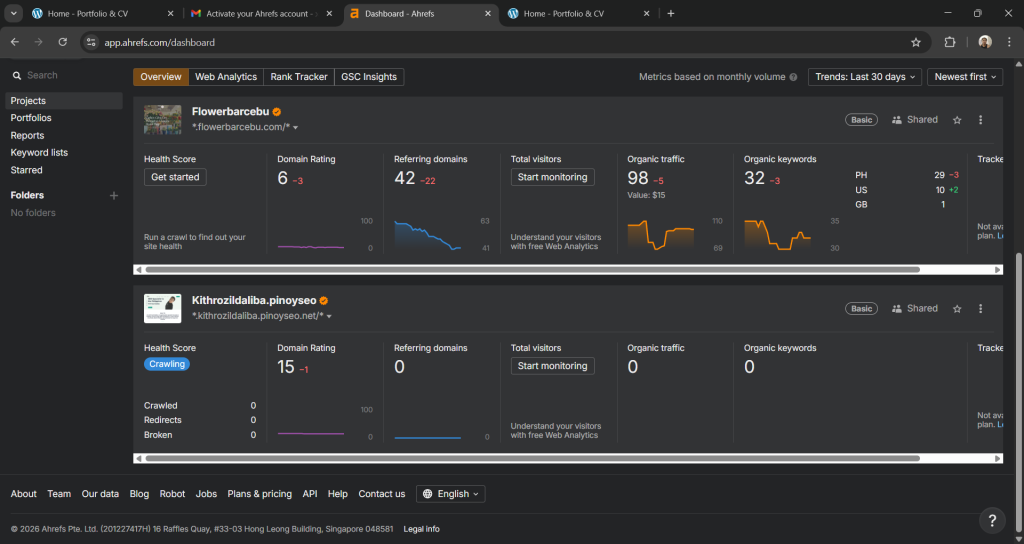 Using Areft.com comparison my subdomain and my mockup client via pinoyseo.ph